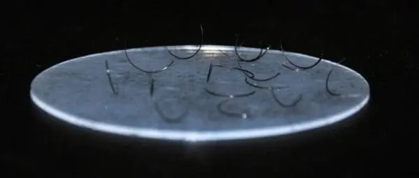 A close up of some fish hooks on the surface