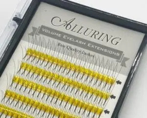 thumbnail image 2 of GLAM BL Volume 5D Eyelash Extensions – D Curl 0.07mm, Clear & Black (5 In 1 Tray) 2 of 5