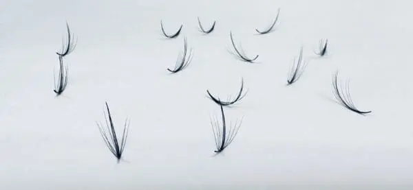 Alluring Wispy 7D Premade Loose Spike Lash Fans 0.03mm C & D Curl - 500 fans - Wet Set, Anime Eyelash Extensions - Image 2