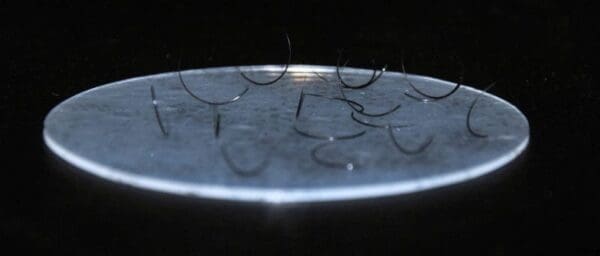 A close up of some fish hooks on the surface