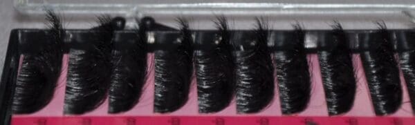 A close up of some black eyelashes in a box