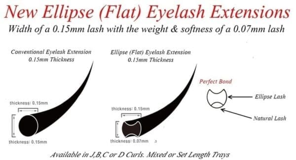 A diagram of the different types of eyelash extensions.