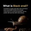 Farmstay Black Snail & Peptide9 Perfect Ampoule, Snail Mucin Serum for Elastic & Glow Skin, Boosting Radiance & Repairing Skin Barrier Serum 1.18 Fl. Oz. - Image 5