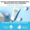 SKIN79 Animal BB Cream Dry Monkey SPF 50+ PA+++ - Image 4